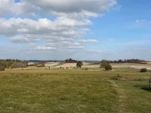 Prodej lesa, Brtnice, 2612 m2