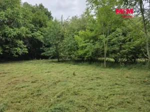Prodej pozemku pro bydlení, Bor - Boječnice, 1115 m2