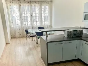 Pronájem bytu 2+kk, Praha - Karlín, Thámova, 46 m2