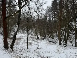Prodej rybníku, Chotiměř, 6437 m2