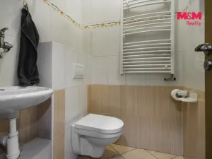 Prodej obchodního prostoru, Hlinsko, Wilsonova, 383 m2