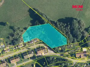 Prodej louky, Hanušovice, 3087 m2