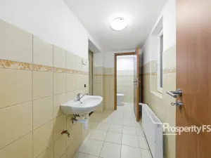 Prodej rodinného domu, Štětí, Bezručovy sady, 190 m2
