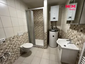 Pronájem bytu 1+kk, Hrdlořezy, 36 m2