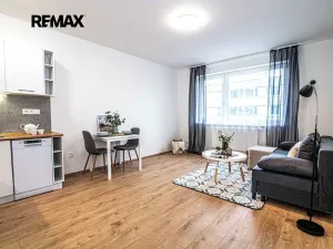 Pronájem bytu 1+kk, Rakovník, Nad Nemocnicí, 28 m2