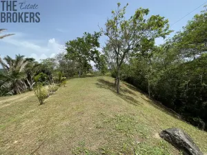 Prodej pozemku, Coxen Hole, Roatán, Honduras, 1884 m2