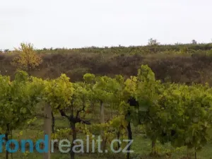 Prodej pozemku, Morkůvky, 4541 m2