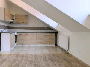 Pronájem bytu 4+kk, Peruc, U Koupaliště, 116 m2