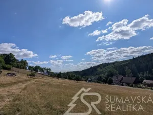 Prodej pozemku, Petrovice u Sušice - Pařezí, 4773 m2