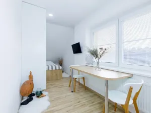 Pronájem bytu 1+kk, Zlín, Vejvanovská, 20 m2