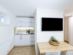 Pronájem bytu 1+kk, Zlín, Vejvanovská, 20 m2