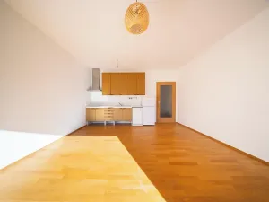 Prodej bytu 1+kk, Brno, Klatovská, 29 m2