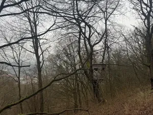 Prodej lesa, Ústí nad Labem, 9837 m2