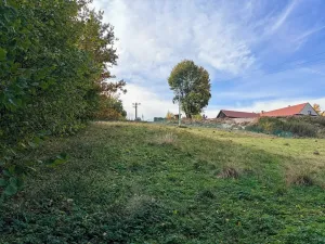 Prodej pozemku pro bydlení, Trstěnice, 1867 m2