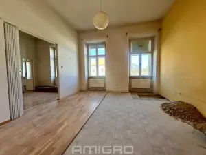 Prodej vícegeneračního domu, Ostrovačice, náměstí Viléma Mrštíka, 1000 m2