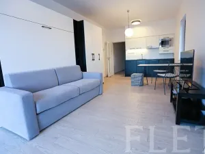 Pronájem bytu 1+kk, Praha - Karlín, U Mlýnského kanálu, 36 m2