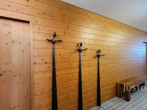 Prodej rodinného domu, Čížová, 346 m2