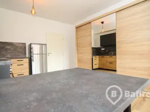 Pronájem bytu 1+kk, Olomouc, Edvarda Beneše, 33 m2