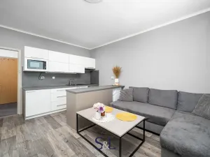 Pronájem bytu 2+kk, Česká Lípa, Brněnská, 39 m2