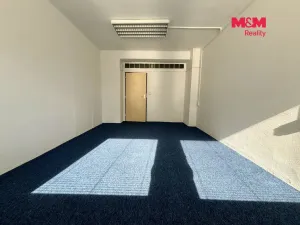 Pronájem kanceláře, Mladá Boleslav - Mladá Boleslav III, Šafaříkova, 19 m2