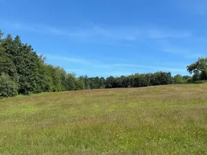 Prodej louky, Háje nad Jizerou, 3927 m2