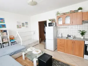 Prodej bytu 1+kk, Plzeň, Sokolovská, 32 m2