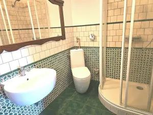 Pronájem rodinného domu, Milevsko, 100 m2