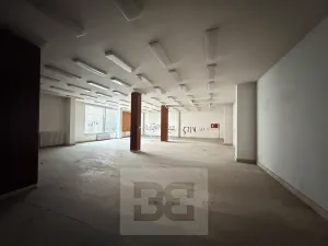 Prodej obchodního prostoru, Chomutov, Zahradní, 14070 m2
