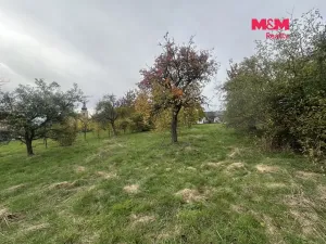 Prodej pozemku pro bydlení, Velký Újezd, 1241 m2