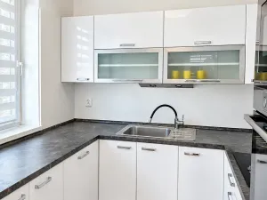 Pronájem rodinného domu, Větrušice, Skalní, 164 m2