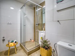 Pronájem bytu 1+1, Ústí nad Labem - Krásné Březno, Rozcestí, 41 m2
