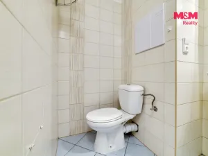 Pronájem bytu 2+1, Františkovy Lázně, Česká, 53 m2