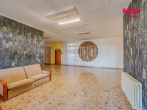 Prodej obchodního prostoru, Přimda, Severní, 30198 m2