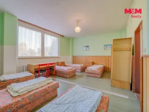 Prodej obchodního prostoru, Přimda, Severní, 30198 m2