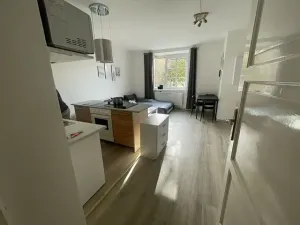 Prodej bytu 2+kk, Břeclav, Žižkova, 49 m2