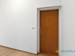 Prodej bytu 2+kk, Praha - Žižkov, Havlíčkovo náměstí, 34 m2