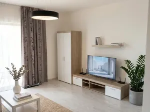 Pronájem bytu 2+kk, Praha - Karlín, U Mlýnského kanálu, 60 m2