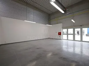 Pronájem skladu, Praha - Malešice, Tiskařská, 124 m2