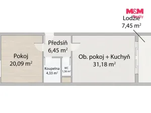 Prodej bytu 2+kk, Plzeň - Jižní Předměstí, Železná, 65 m2