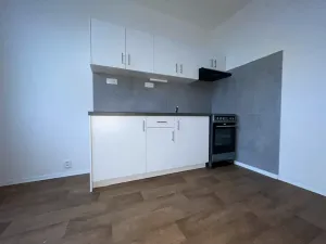 Pronájem bytu 1+1, Ústí nad Labem, Masarykova, 41 m2