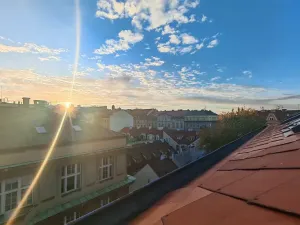 Pronájem bytu 1+1, Praha - Nové Město, Růžová, 56 m2
