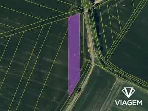 Prodej podílu pole, Otaslavice, 1500 m2