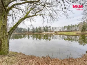 Prodej chaty, Horšovský Týn - Podhájí, 34 m2