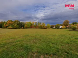 Prodej louky, Lužany - Zelené, 5700 m2