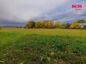 Prodej louky, Lužany - Zelené, 5700 m2