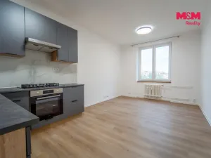 Pronájem bytu 3+kk, Plzeň - Východní Předměstí, Francouzská třída, 55 m2