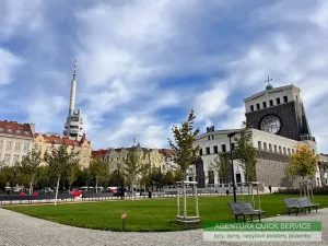 Pronájem bytu 1+kk, Praha - Žižkov, Slavíkova, 30 m2