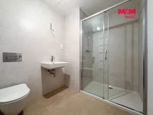 Pronájem bytu 1+kk, Praha, Ocelářská, 39 m2