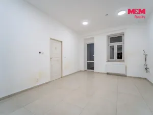 Pronájem obchodního prostoru, Plzeň - Jižní Předměstí, Tylova, 36 m2