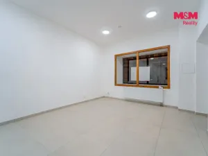 Pronájem obchodního prostoru, Plzeň - Jižní Předměstí, Tylova, 36 m2